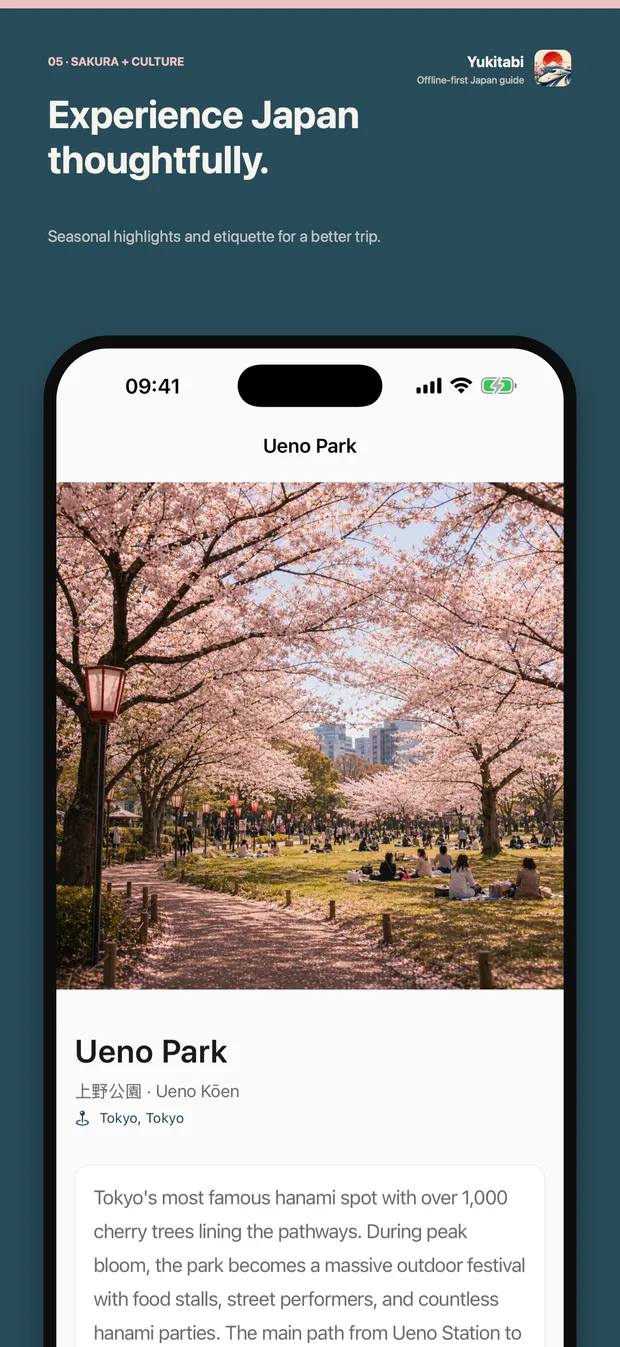 Seasonal guide to Ueno Park cherry blossoms with a photo and local hanami context.